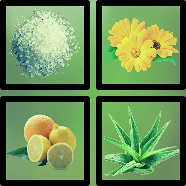 Li-FT® Saline Removal Ingredients